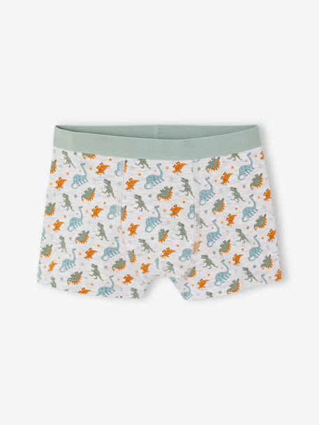 Lot de 5 boxers garçon vert d'eau 6 - vertbaudet enfant 