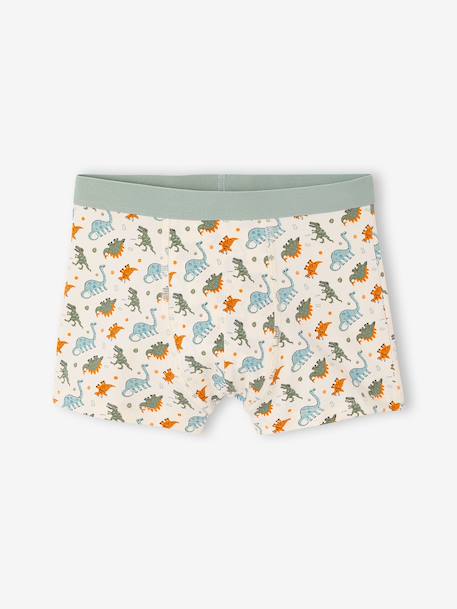 Lot de 5 boxers garçon vert d'eau 3 - vertbaudet enfant 