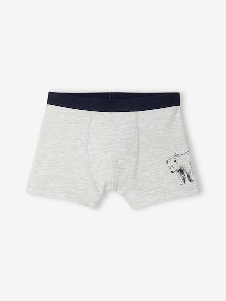 Lot de 5 boxers garçon kaki 2 - vertbaudet enfant 