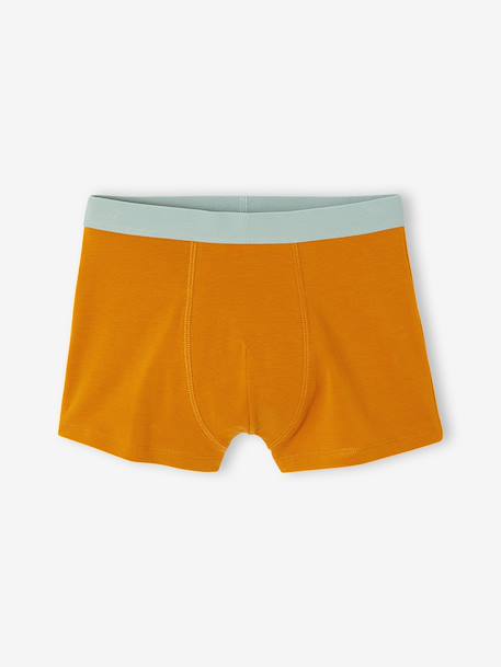 Lot de 5 boxers garçon vert d'eau 5 - vertbaudet enfant 