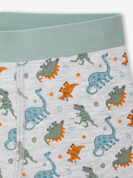 Lot de 5 boxers garçon vert d'eau 9 - vertbaudet enfant 