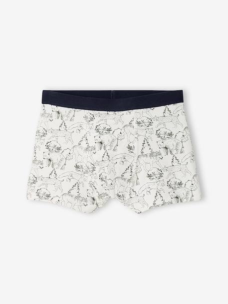 Lot de 5 boxers garçon kaki 5 - vertbaudet enfant 