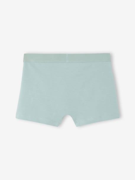 Lot de 5 boxers garçon vert d'eau 7 - vertbaudet enfant 
