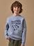 Sweat garçon imprimé en molleton Gris chine 1 - vertbaudet enfant 