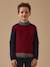 Pull colorblock en laine garçon Bordeaux+Vert 1 - vertbaudet enfant 