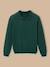 Pull col polo garçon Vert 1 - vertbaudet enfant 