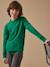 Pull garçon en laine merinos Bleu+Bleu clair+Gris chine+Vert 15 - vertbaudet enfant 
