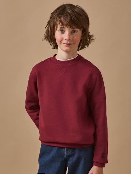 Sweat garçon Bordeaux+Ciel 1 - vertbaudet enfant 