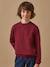 Sweat garçon Bordeaux+Ciel 1 - vertbaudet enfant 