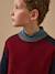 Pull colorblock en laine garçon Bordeaux+Vert 3 - vertbaudet enfant 