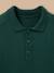 Pull col polo garçon Vert 2 - vertbaudet enfant 