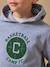 Sweat à capuche garçon Bleu+Gris chine 7 - vertbaudet enfant 