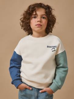 -Sweat "colorblock" garçon