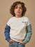 Sweat 'colorblock' garçon Ecru 1 - vertbaudet enfant 