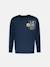 Sweat col rond en molleton léger graphique Blue 1 - vertbaudet enfant 