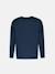Sweat col rond en molleton léger graphique Blue 2 - vertbaudet enfant 
