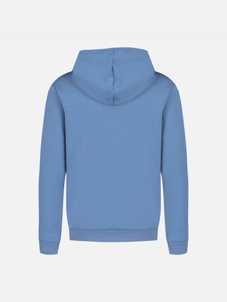 Sweat à capuche essentiels Blue 2 - vertbaudet enfant 