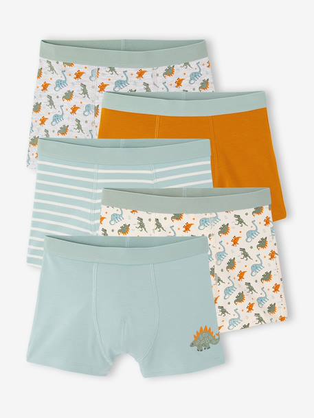 Garçon-Lot de 5 boxers garçon