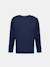 T-shirt manches longues en jersey de coton graphique Blue 2 - vertbaudet enfant 