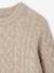 Pull garçon manches longues col rond beige chiné 3 - vertbaudet enfant 