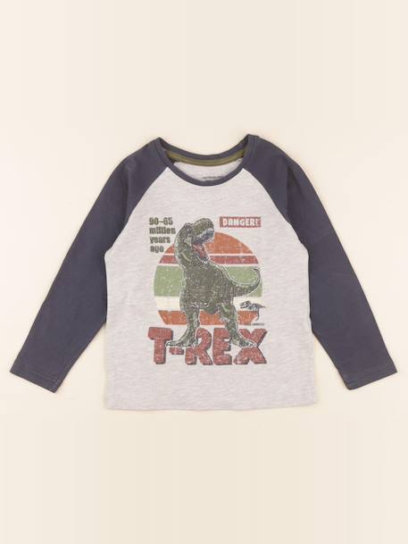 Tee-shirt - 5 ans Bleu, gris 1 - vertbaudet enfant 