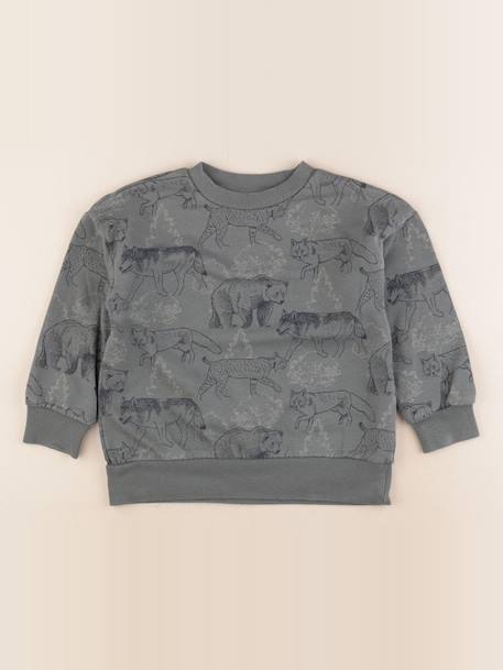 Sweat - 6 ans Vert 1 - vertbaudet enfant 