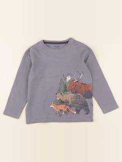 Tee-shirt - 5 ans  - vertbaudet enfant