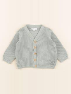 Seconde main-Garçon-Pull, gilet, sweat-Gilet - 12 mois