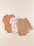 Lot de 3 bodies en coton - 9 mois Blanc, marron 1 - vertbaudet enfant 