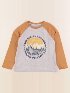 Tee-shirt - 5 ans  - vertbaudet enfant