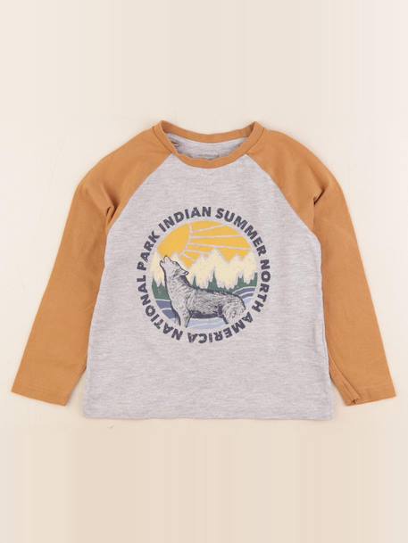 Tee-shirt - 5 ans Gris, marron 1 - vertbaudet enfant 