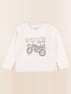 Seconde main-Garçon-T-shirt, polo, sous pull-Tee-shirt - 4 ans