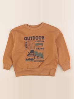 Seconde main-Garçon-Pull, gilet, sweat-Sweat - 6 ans