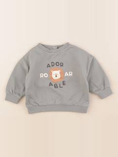 Seconde main-Garçon-Pull, gilet, sweat-Sweat - 6 mois