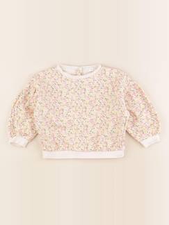 Seconde main-Fille-Pull, gilet, sweat-Sweat - 24 mois