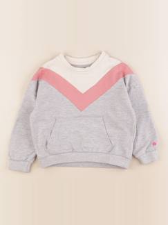 Seconde main-Fille-Pull, gilet, sweat-Sweat - 4 ans