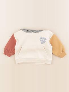 Seconde main-Garçon-Pull, gilet, sweat-Sweat - 6 mois