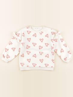 Seconde main-Fille-Pull, gilet, sweat-Sweat - 5 ans