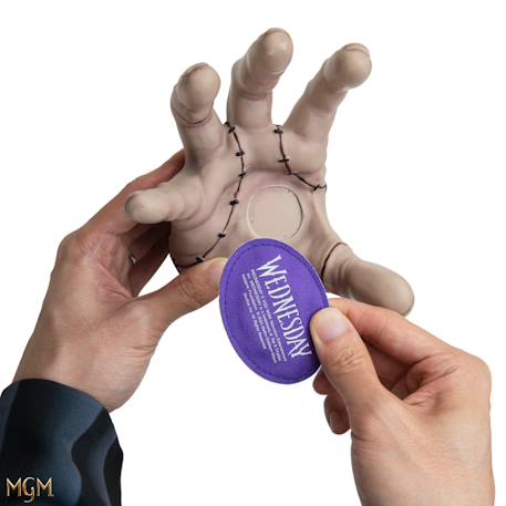 Réplique magnétique de la chose - mercredi Beige 3 - vertbaudet enfant 