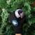 Capsule de noël gants mercredi et enid - mercredi Noir 2 - vertbaudet enfant 