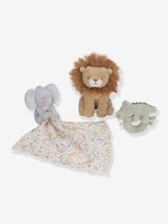 Jouet-Coffret Cadeau -