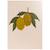 Valise enfant sweet and sour Ecru, jaune, vert 4 - vertbaudet enfant 