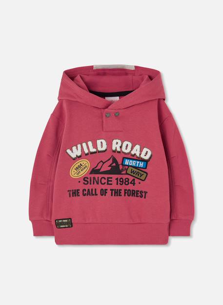 Sweat-shirt garçon molleton à capuche wild road Orange 1 - vertbaudet enfant 