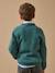 Pull garçon en laine merinos Bleu+Bleu clair+Celadon+Gris chine+Vert 11 - vertbaudet enfant 