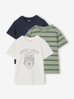 Garçon-T-shirt, polo, sous-pull-Lot 3 T-shirts manches courtes