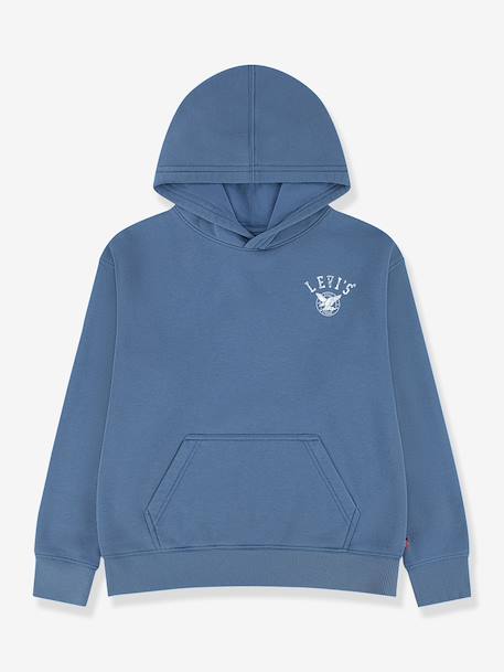 Garçon-Pull, gilet, sweat-Sweat Original Vintage