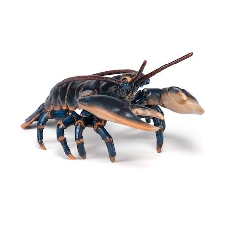 Figurine homard Noir 3 - vertbaudet enfant 