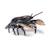 Figurine homard Noir 3 - vertbaudet enfant 