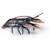 Figurine homard Noir 1 - vertbaudet enfant 