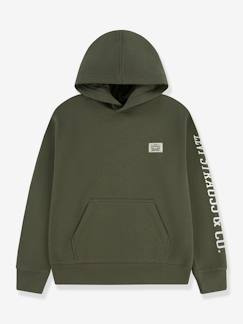 Sweat à capuche  - vertbaudet enfant